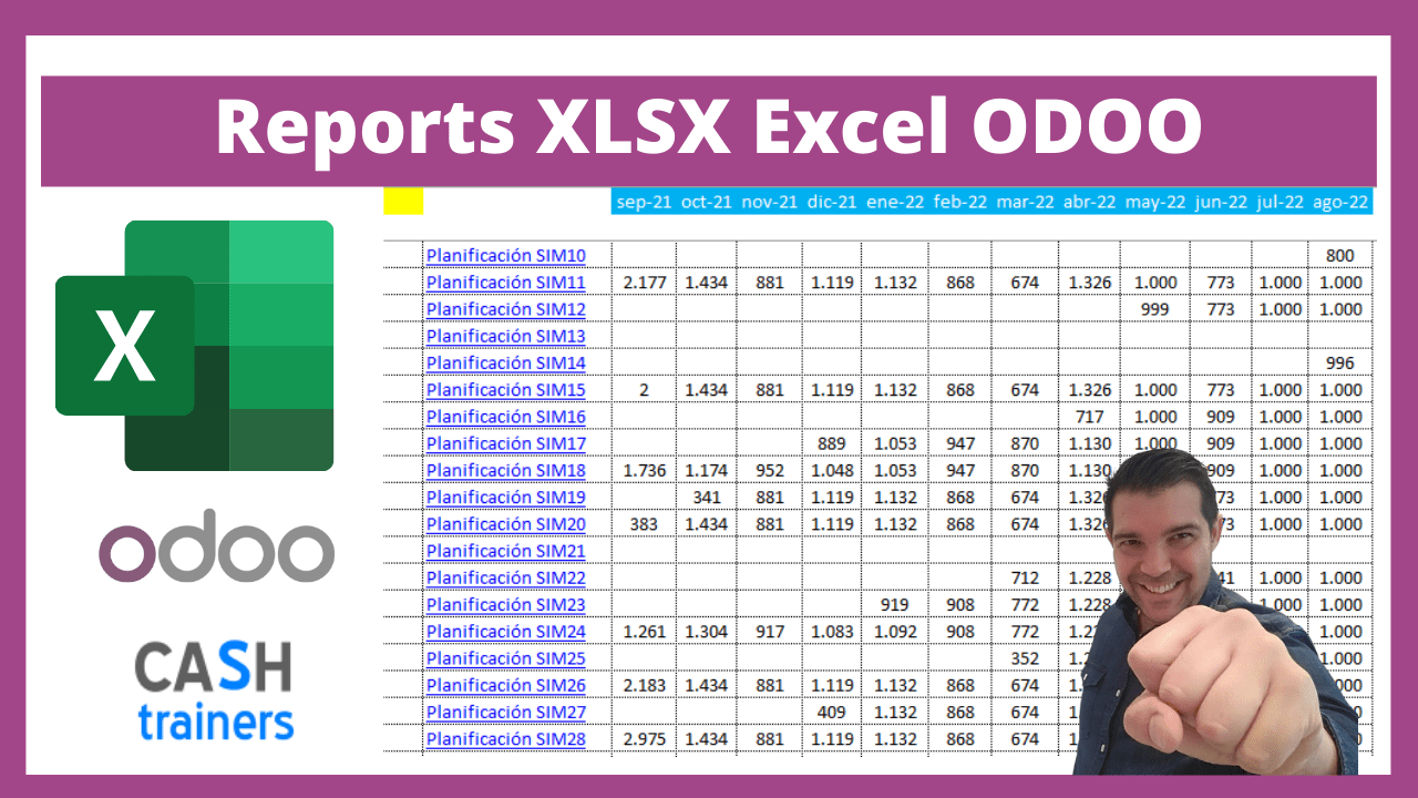 Reports XLSX Excel ODOO